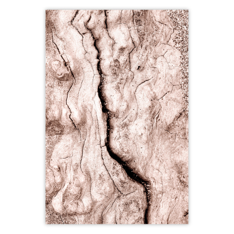 Wall Poster Touch of Tropical Wind - natural texture of cracked driftwood 135296