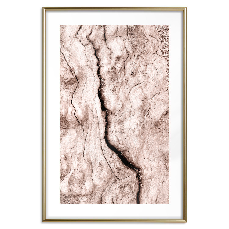 Wall Poster Touch of Tropical Wind - natural texture of cracked driftwood 135296 additionalImage 19