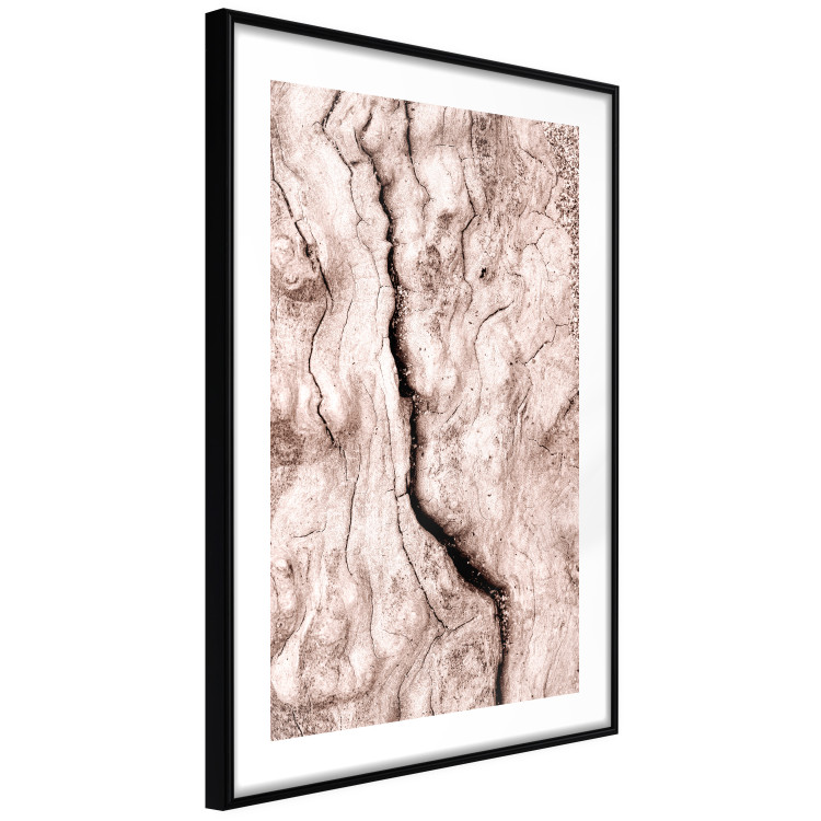 Wall Poster Touch of Tropical Wind - natural texture of cracked driftwood 135296 additionalImage 12