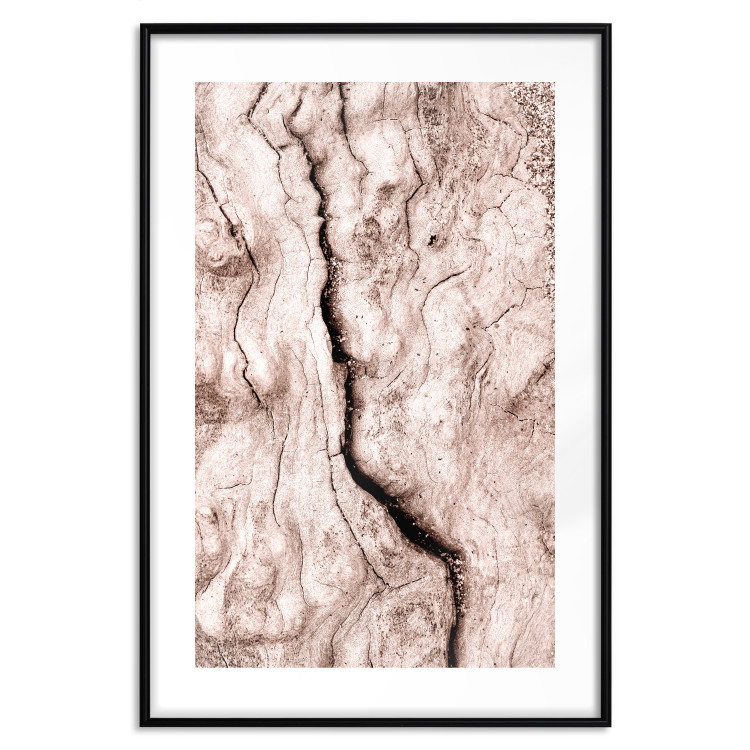 Wall Poster Touch of Tropical Wind - natural texture of cracked driftwood 135296 additionalImage 20