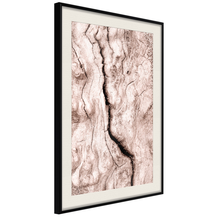 Wall Poster Touch of Tropical Wind - natural texture of cracked driftwood 135296 additionalImage 16