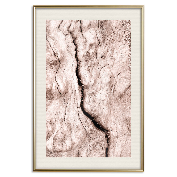 Wall Poster Touch of Tropical Wind - natural texture of cracked driftwood 135296 additionalImage 24