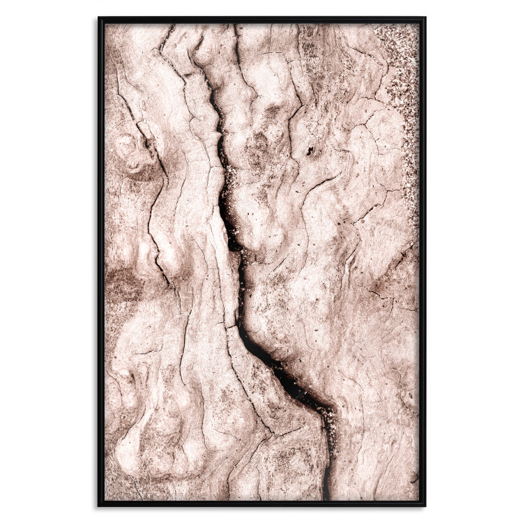 Wall Poster Touch of Tropical Wind - natural texture of cracked driftwood 135296 additionalImage 3