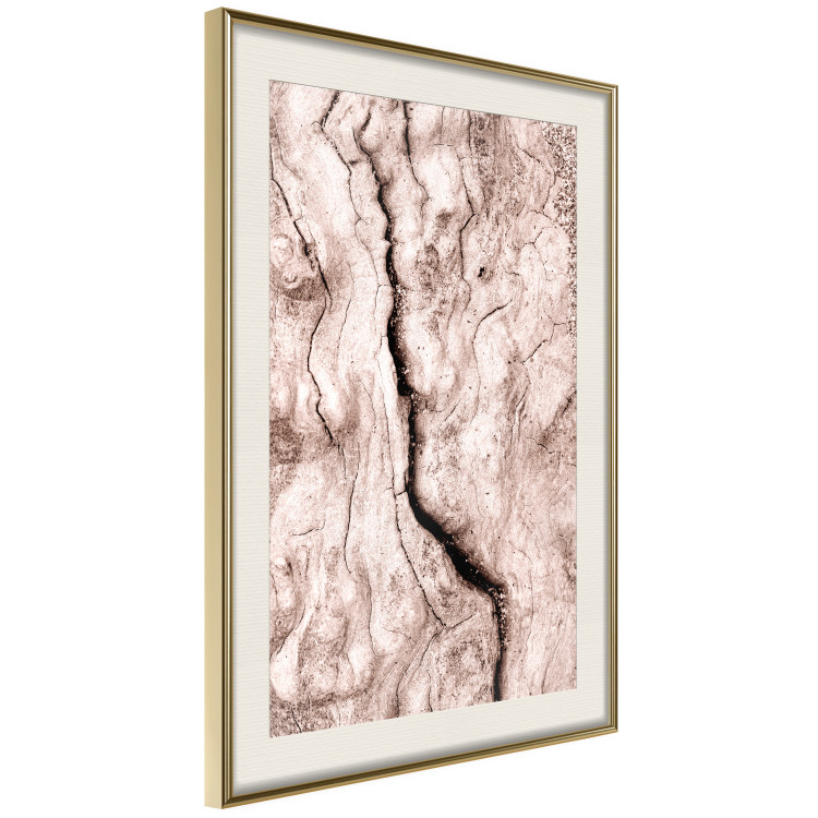 Wall Poster Touch of Tropical Wind - natural texture of cracked driftwood 135296 additionalImage 15