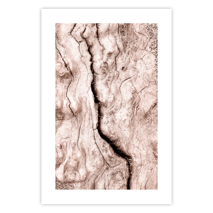 Wall Poster Touch of Tropical Wind - natural texture of cracked driftwood 135296 additionalImage 5