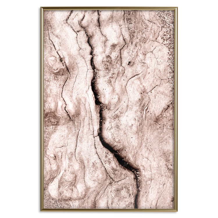 Wall Poster Touch of Tropical Wind - natural texture of cracked driftwood 135296 additionalImage 2