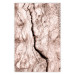 Wall Poster Touch of Tropical Wind - natural texture of cracked driftwood 135296
