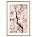 Wall Poster Touch of Tropical Wind - natural texture of cracked driftwood 135296 additionalThumb 26