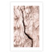 Wall Poster Touch of Tropical Wind - natural texture of cracked driftwood 135296 additionalThumb 4