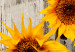 Canvas Sunflowers (1-piece) - yellow flowers in a vase on a wooden background 144596 additionalThumb 4