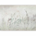 Wall Mural Boho-Style Garden - Airy Flowers and Grasses in Grays and Greens 144696 additionalThumb 1