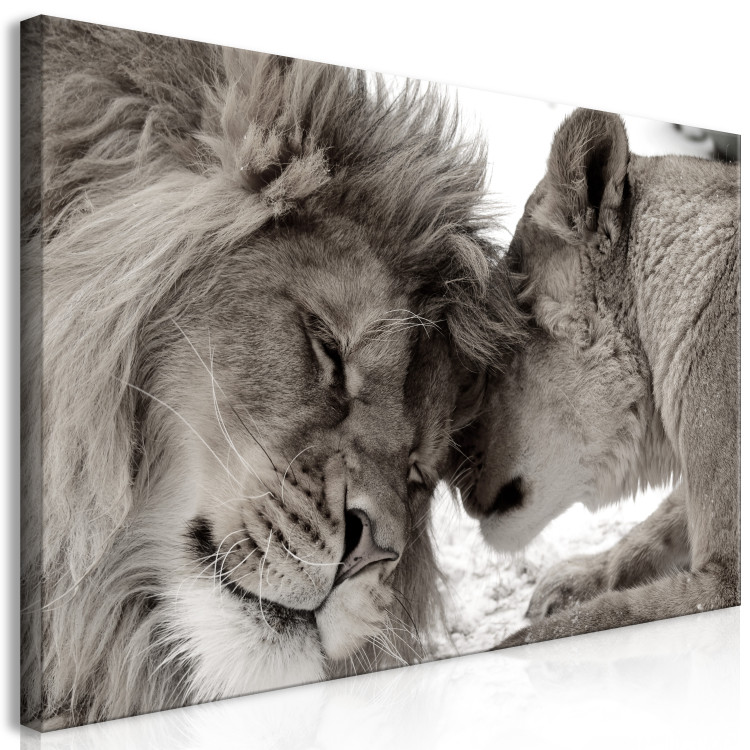 Large canvas print Moments of Rest on the Savannah II [Large Format] 150796 additionalImage 3