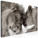 Large canvas print Moments of Rest on the Savannah II [Large Format] 150796 additionalThumb 3