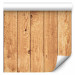 Modern Wallpaper Pine wall 93196 additionalThumb 6