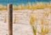 Canvas Print Path of Peace (5-piece) - Sandy Beach Against a Calm Sea Background 98596 additionalThumb 4