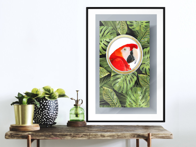 Poster Parrot in the jungle - colorful bird on a background of green tropical leaves 116407 additionalImage 4