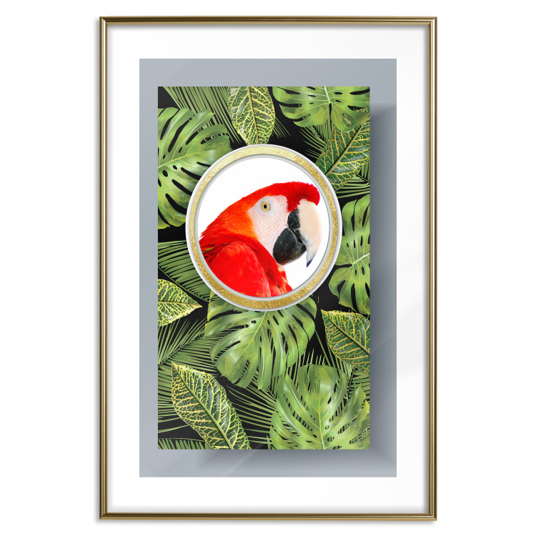 Poster Parrot in the jungle - colorful bird on a background of green tropical leaves 116407 additionalImage 14