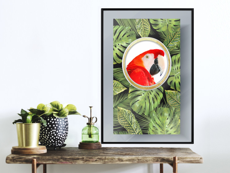 Poster Parrot in the jungle - colorful bird on a background of green tropical leaves 116407 additionalImage 3