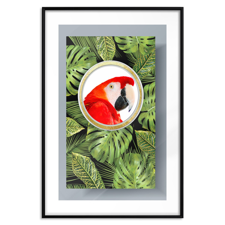 Poster Parrot in the jungle - colorful bird on a background of green tropical leaves 116407 additionalImage 15