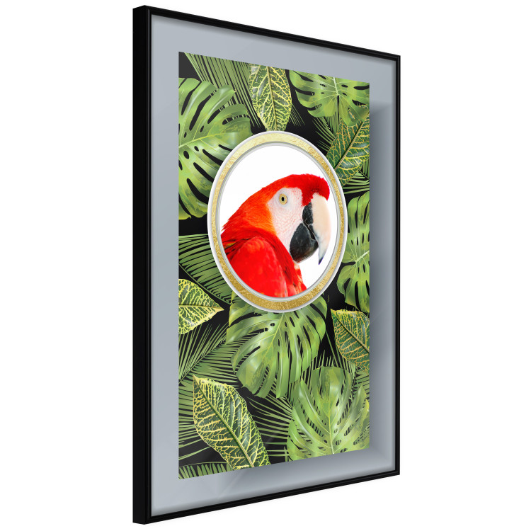 Poster Parrot in the jungle - colorful bird on a background of green tropical leaves 116407 additionalImage 10