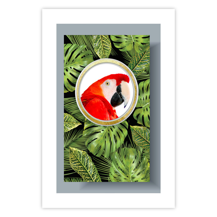 Poster Parrot in the jungle - colorful bird on a background of green tropical leaves 116407 additionalImage 19