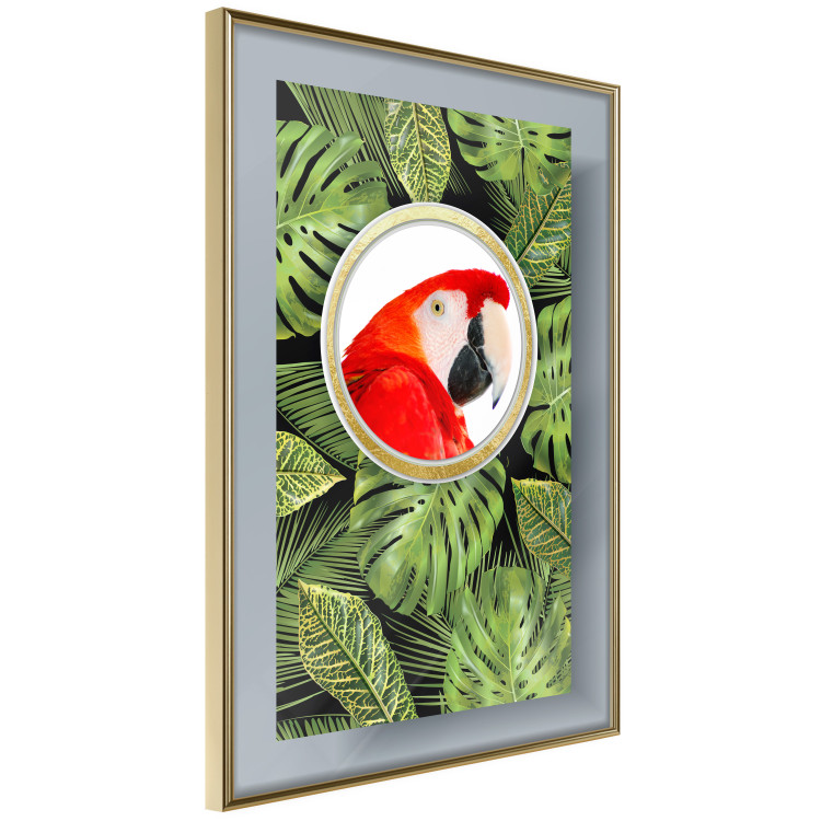 Poster Parrot in the jungle - colorful bird on a background of green tropical leaves 116407 additionalImage 12