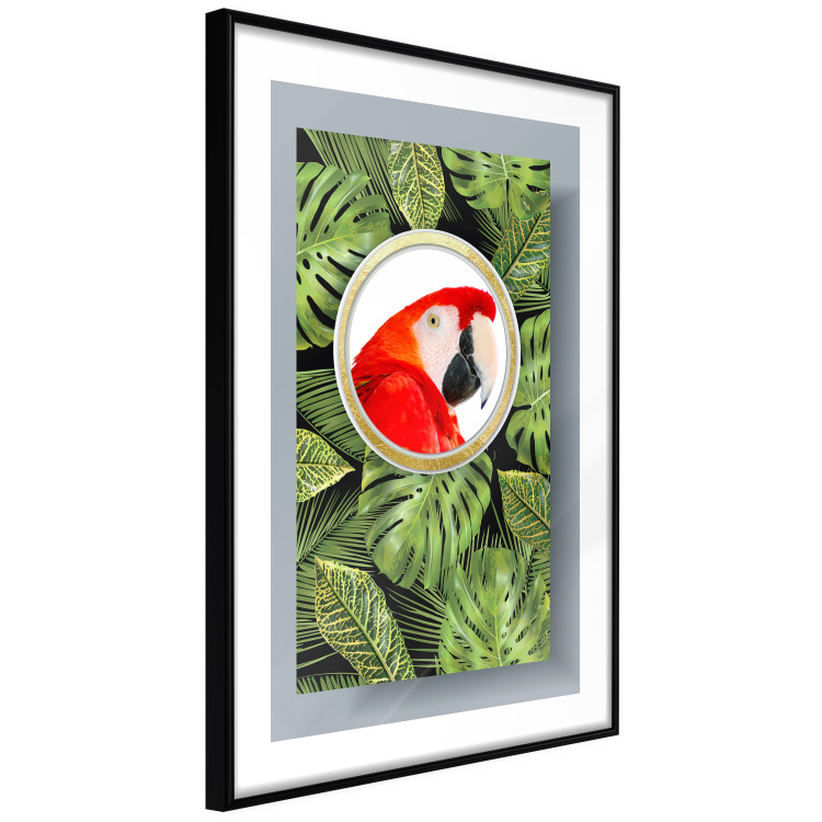 Poster Parrot in the jungle - colorful bird on a background of green tropical leaves 116407 additionalImage 11
