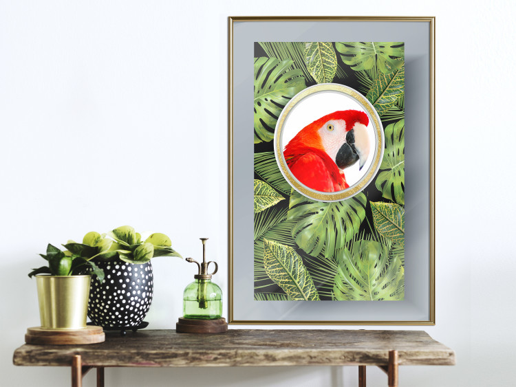 Poster Parrot in the jungle - colorful bird on a background of green tropical leaves 116407 additionalImage 5