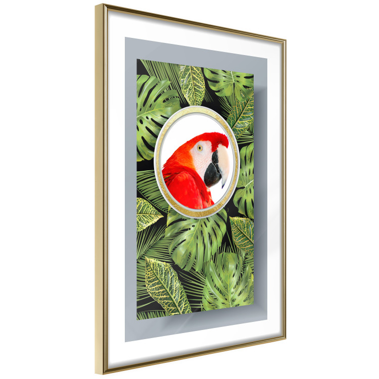 Poster Parrot in the jungle - colorful bird on a background of green tropical leaves 116407 additionalImage 6