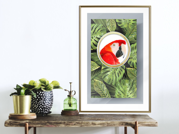 Poster Parrot in the jungle - colorful bird on a background of green tropical leaves 116407 additionalImage 13