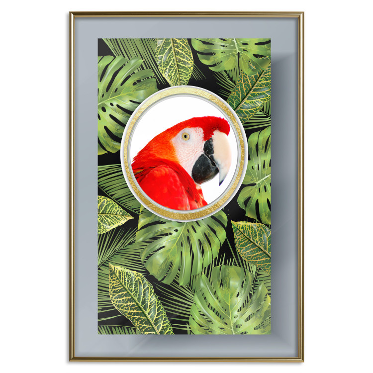 Poster Parrot in the jungle - colorful bird on a background of green tropical leaves 116407 additionalImage 16