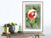 Poster Parrot in the jungle - colorful bird on a background of green tropical leaves 116407 additionalThumb 13