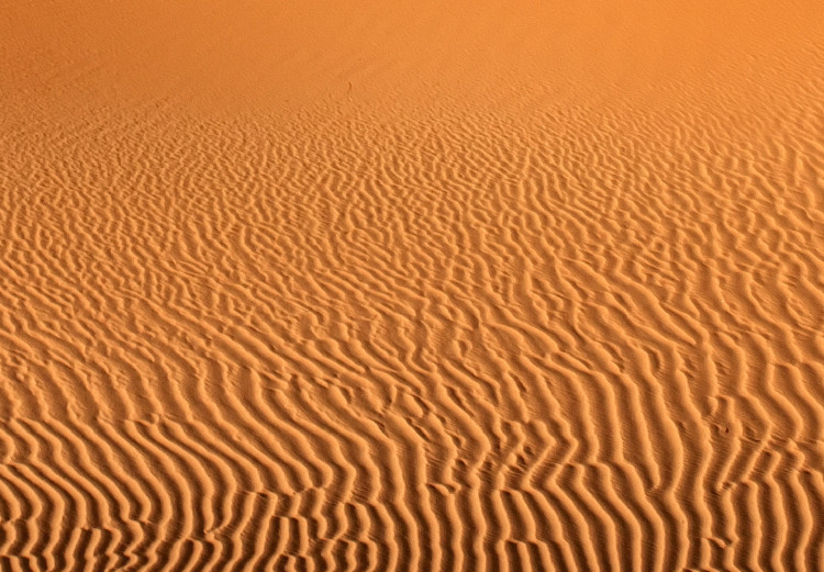 Poster Sand Wave - warm landscape of a hot desert somewhere in Morocco 116507 additionalImage 9