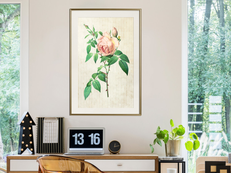 Poster Victorian Rose - colorful floral composition against a background of beige stripes 117407 additionalImage 20