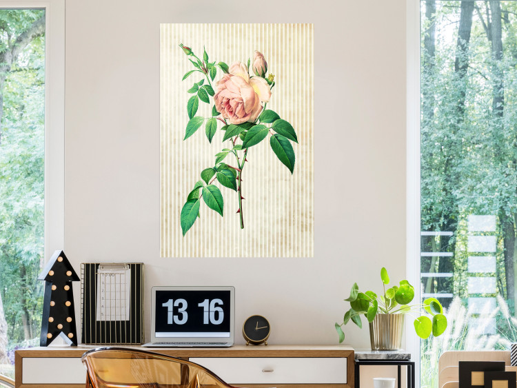 Poster Victorian Rose - colorful floral composition against a background of beige stripes 117407 additionalImage 22