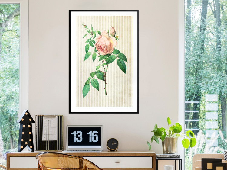 Poster Victorian Rose - colorful floral composition against a background of beige stripes 117407 additionalImage 4