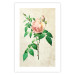 Poster Victorian Rose - colorful floral composition against a background of beige stripes 117407 additionalThumb 24