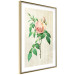 Poster Victorian Rose - colorful floral composition against a background of beige stripes 117407 additionalThumb 6