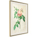 Poster Victorian Rose - colorful floral composition against a background of beige stripes 117407 additionalThumb 2