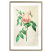 Poster Victorian Rose - colorful floral composition against a background of beige stripes 117407 additionalThumb 13