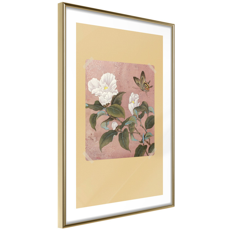 Poster Azalea Flower - white petals among green leaves and a colorful butterfly 117607 additionalImage 8
