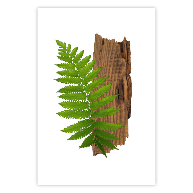 Poster Resoluteness of Nature - green plant and wooden piece on a white background 122607 additionalImage 25