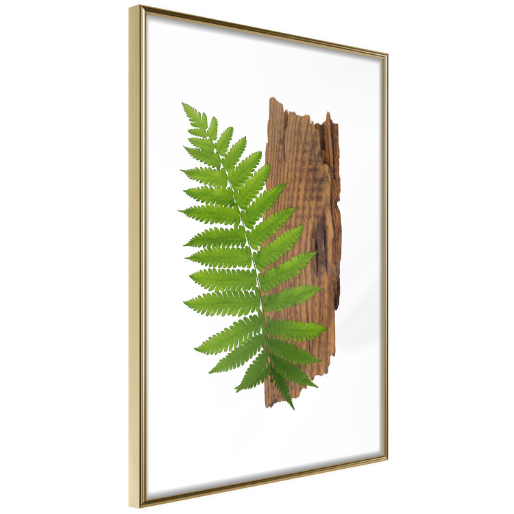 Poster Resoluteness of Nature - green plant and wooden piece on a white background 122607 additionalImage 12
