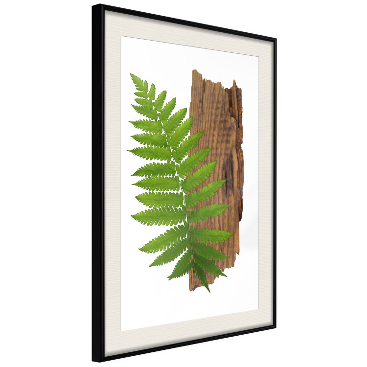 Poster Resoluteness of Nature - green plant and wooden piece on a white background 122607 additionalImage 13
