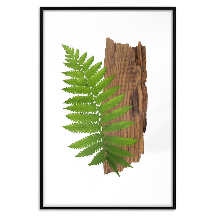 Poster Resoluteness of Nature - green plant and wooden piece on a white background 122607 additionalImage 17