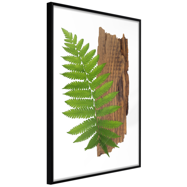Poster Resoluteness of Nature - green plant and wooden piece on a white background 122607 additionalImage 2