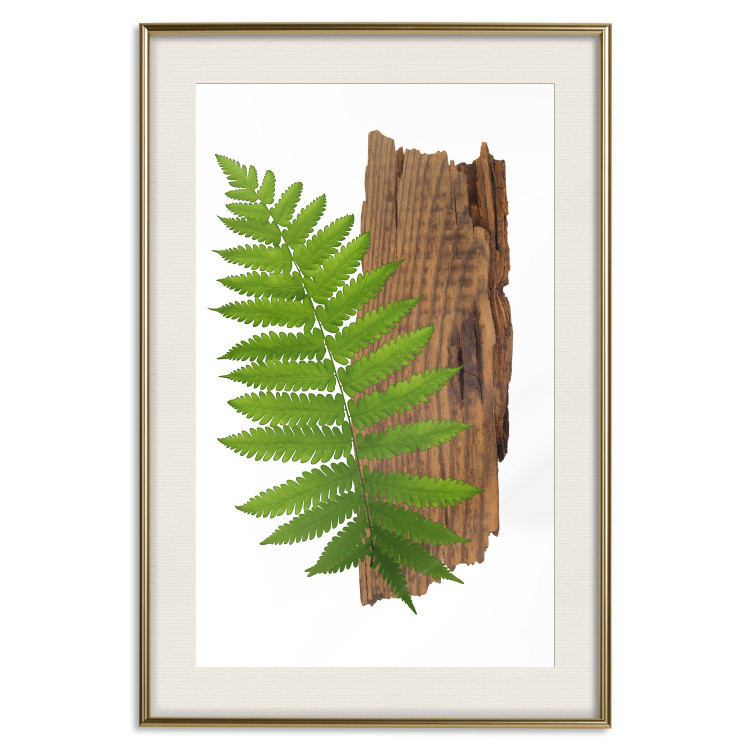 Poster Resoluteness of Nature - green plant and wooden piece on a white background 122607 additionalImage 19