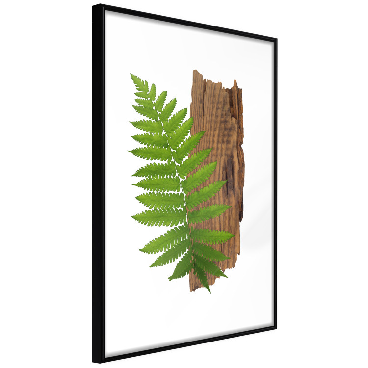Poster Resoluteness of Nature - green plant and wooden piece on a white background 122607 additionalImage 3