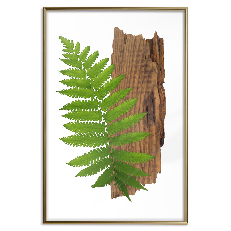 Poster Resoluteness of Nature - green plant and wooden piece on a white background 122607 additionalImage 16