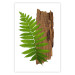 Poster Resoluteness of Nature - green plant and wooden piece on a white background 122607